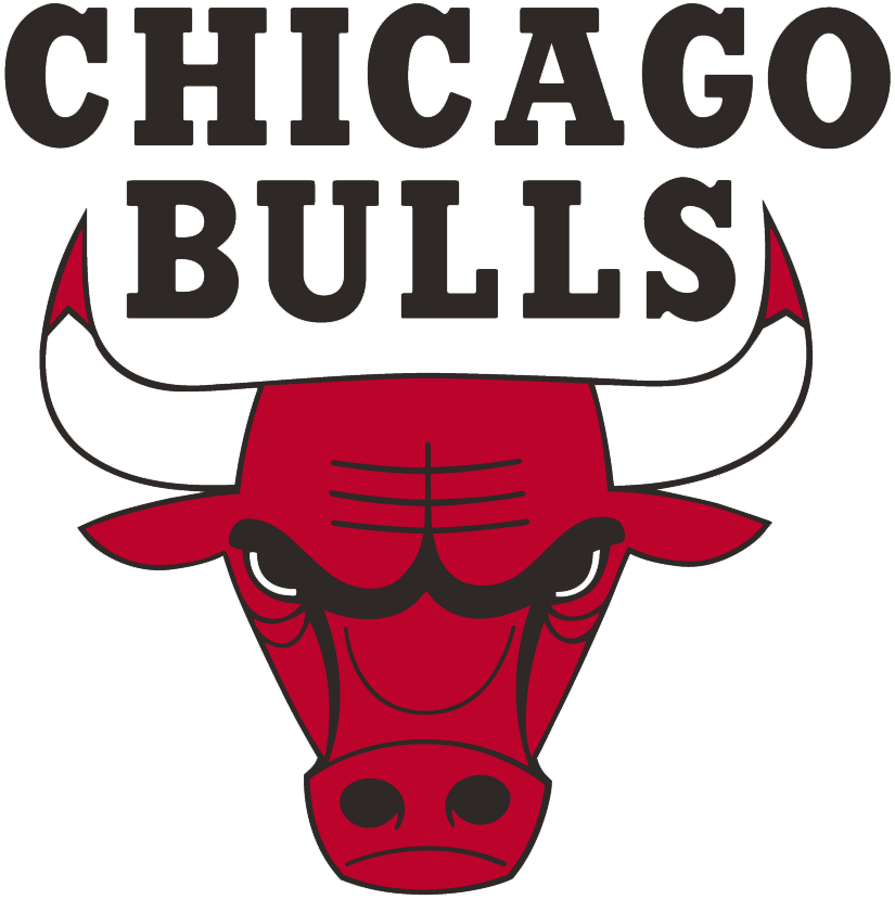 Chicago Bulls 1966-Pres Primary Logo fabric transfer